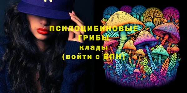 прущая мука Алзамай